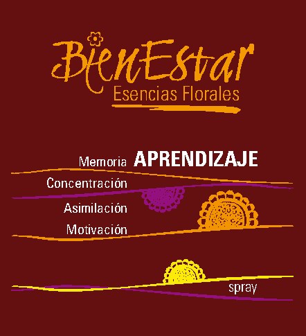 Etiqueta de la esencia Aprendizaje